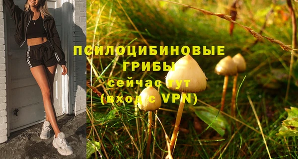 герыч Арсеньев