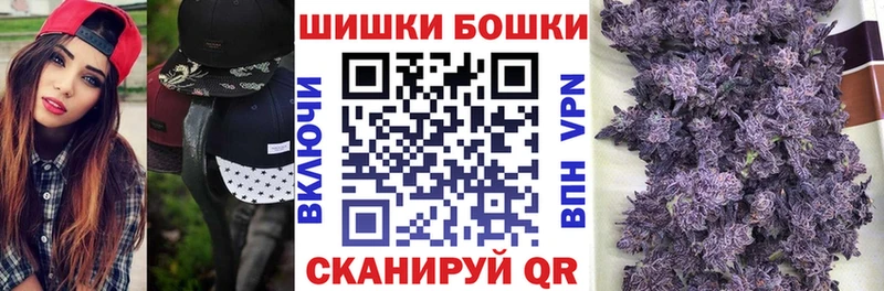 наркотики  Камызяк  Конопля сатива 